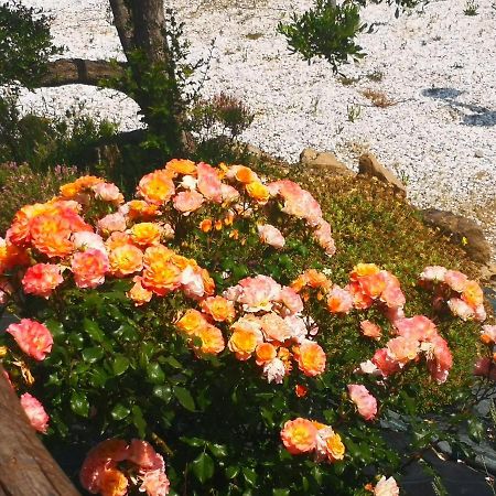 Agriturismo I Colli Montaione Dış mekan fotoğraf