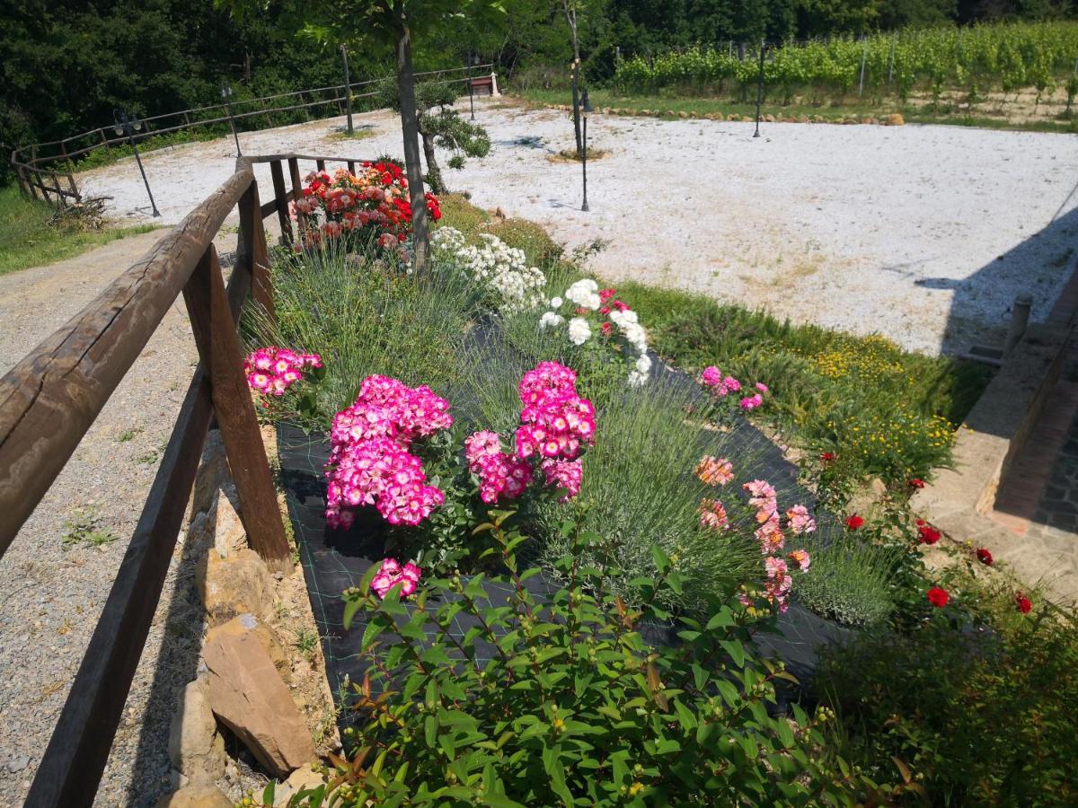 Agriturismo I Colli Montaione Dış mekan fotoğraf
