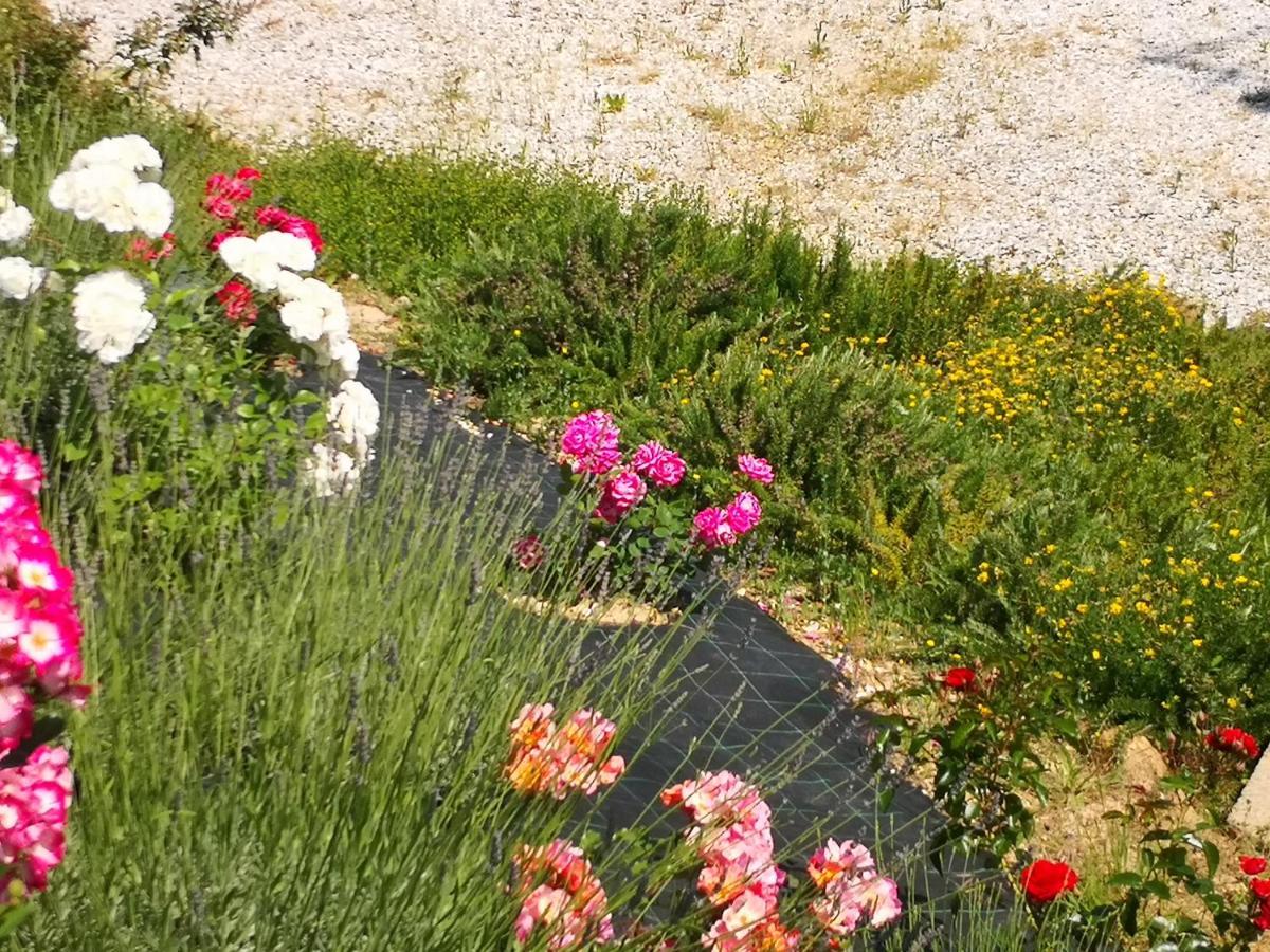 Agriturismo I Colli Montaione Dış mekan fotoğraf